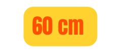 60 cm